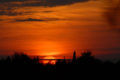 Sonnenuntergang im Müritz Nationalpark